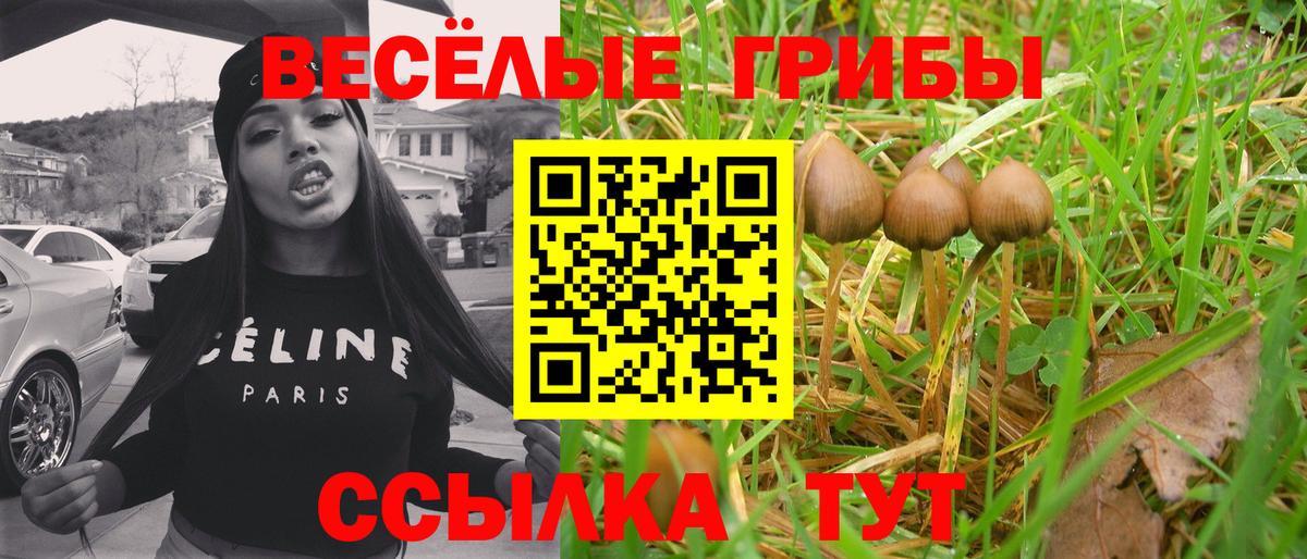 Галлюциногенные грибы MAGIC MUSHROOMS Барнаул